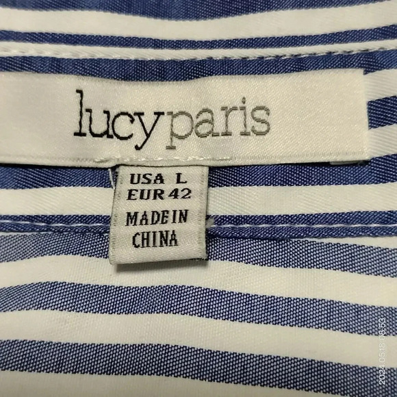 Lucy Paris size Large Blue White Striped Embroidered Shift Button Up Dress - Picture 6 of 11